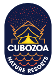 Cubozoa Nature Resports